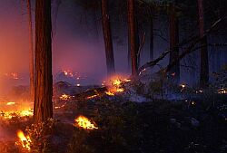 Wälsung Hall burned